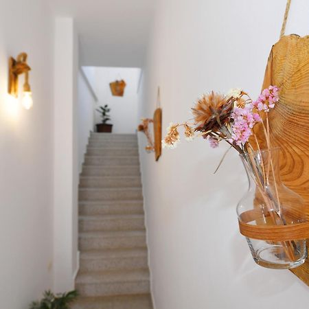 City Nest Shkoder Luaran gambar